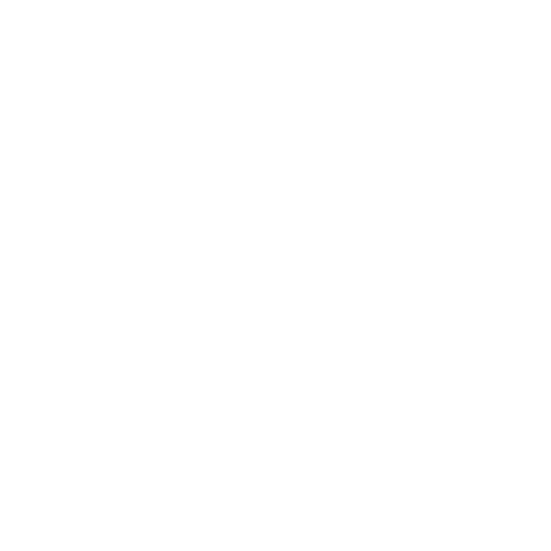 zoi solution zoi solution