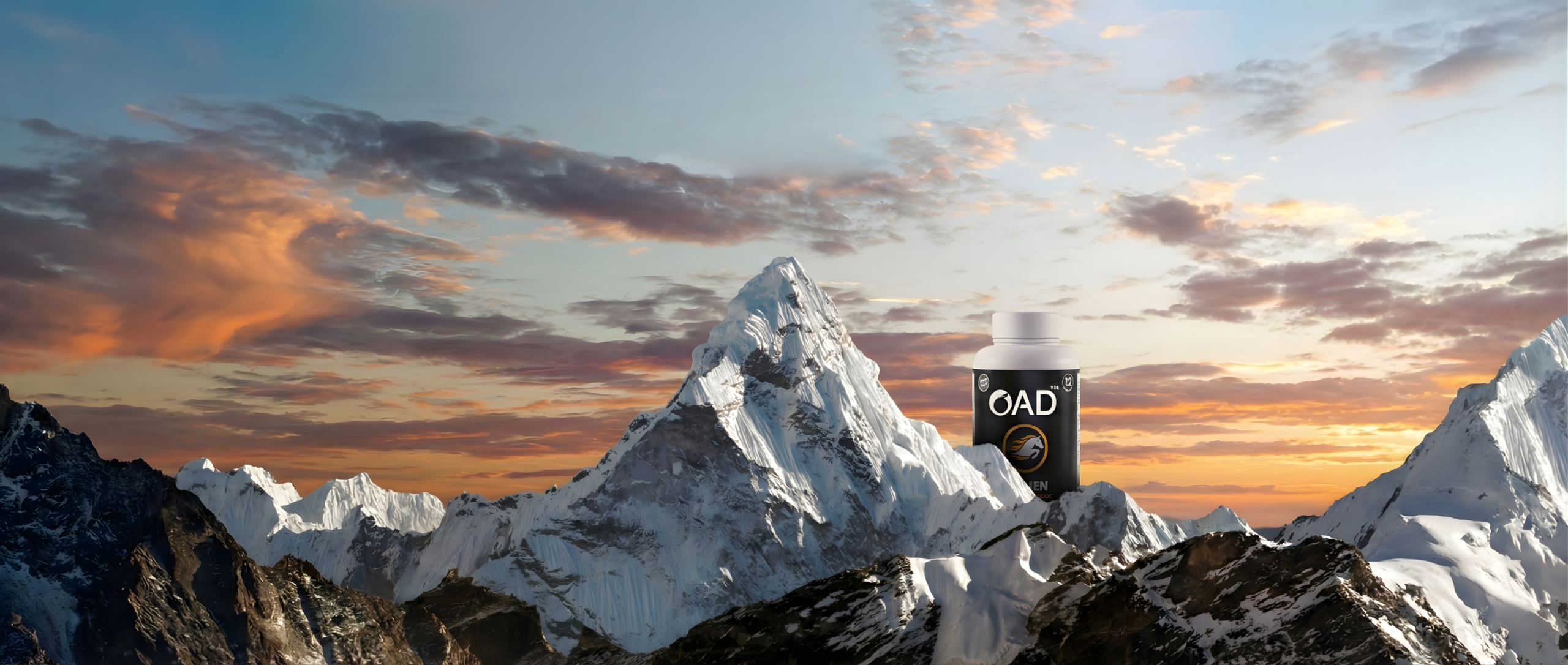 Portfolio oad xmen banner